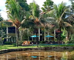Ubud Tropical Garden Hotel